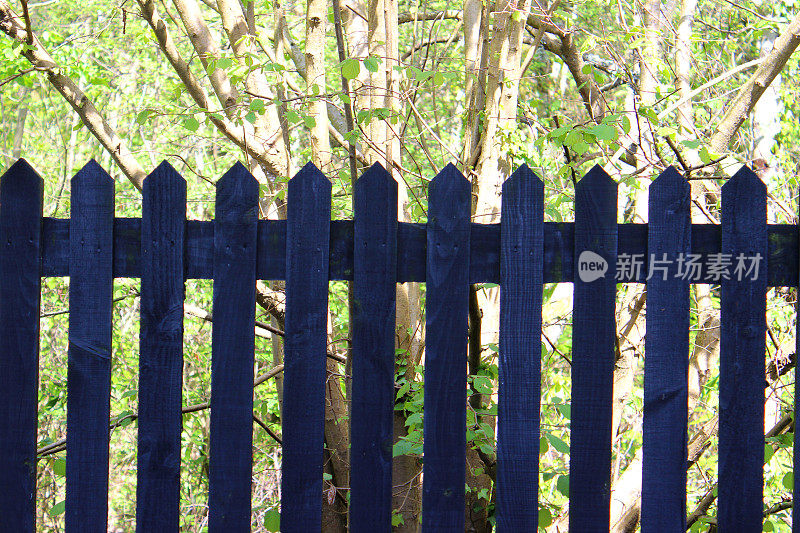 花园中的木栅栏/栅栏的图像，被漆成蓝色